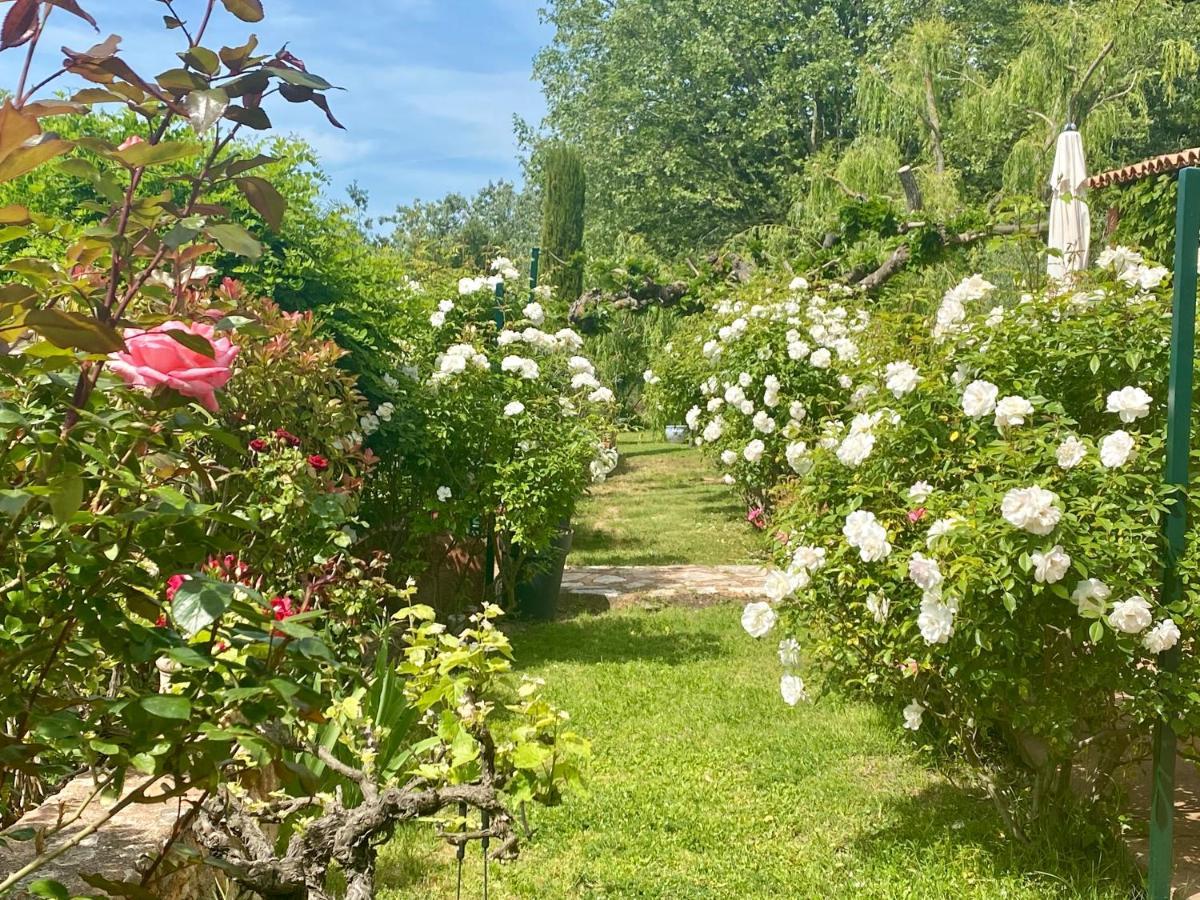 ヴィラ デ ローズ Roussillon en Isere エクステリア 写真